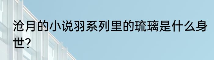 沧月的小说羽系列里的琉璃是什么身世？