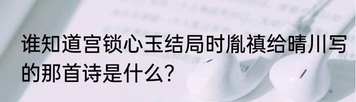 谁知道宫锁心玉结局时胤禛给晴川写的那首诗是什么？