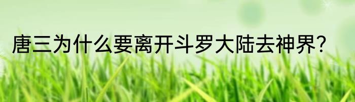 唐三为什么要离开斗罗大陆去神界？