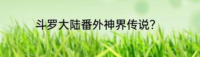 斗罗大陆番外神界传说？