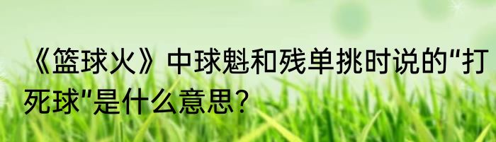 《篮球火》中球魁和残单挑时说的“打死球”是什么意思？