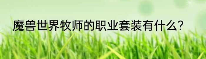 魔兽世界牧师的职业套装有什么？