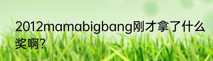 2012mamabigbang刚才拿了什么奖啊？