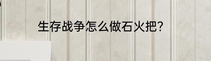 生存战争怎么做石火把？