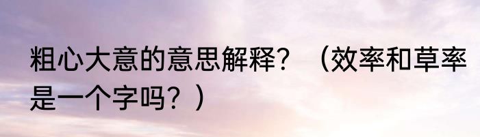 粗心大意的意思解释？（效率和草率是一个字吗？）