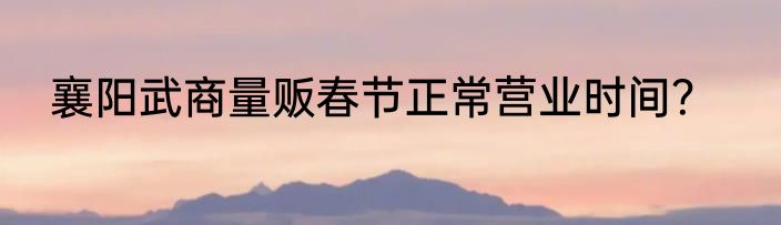 襄阳武商量贩春节正常营业时间？