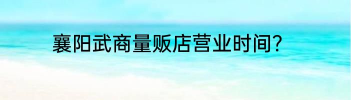 襄阳武商量贩店营业时间？