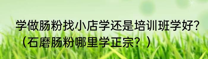 学做肠粉找小店学还是培训班学好？（石磨肠粉哪里学正宗？）