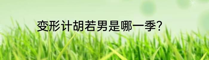 变形计胡若男是哪一季？