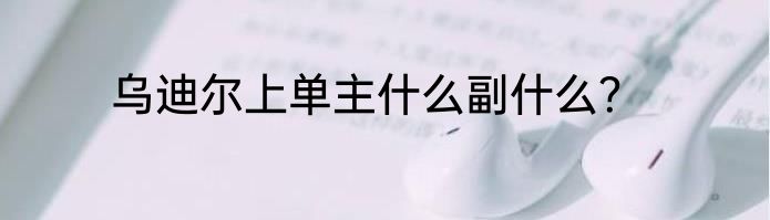 乌迪尔上单主什么副什么？
