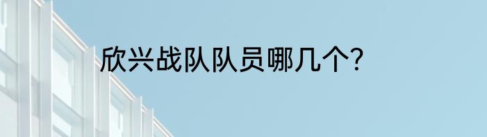 欣兴战队队员哪几个？
