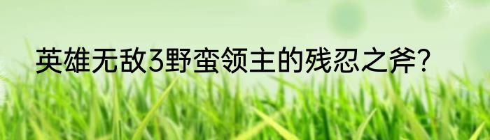 英雄无敌3野蛮领主的残忍之斧？