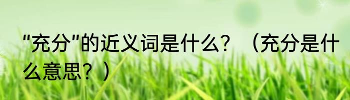 “充分”的近义词是什么？（充分是什么意思？）