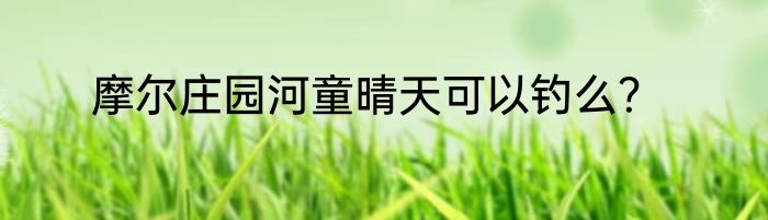 摩尔庄园河童晴天可以钓么？