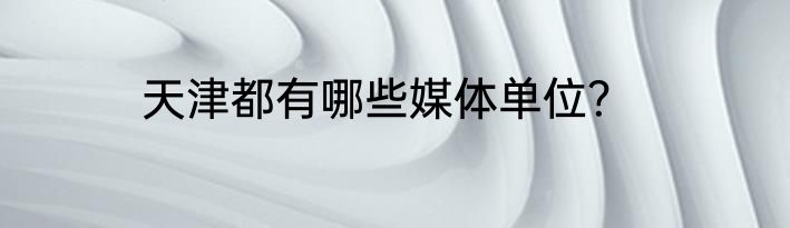 天津都有哪些媒体单位？