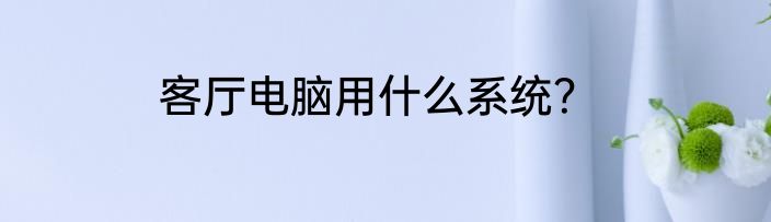 客厅电脑用什么系统？