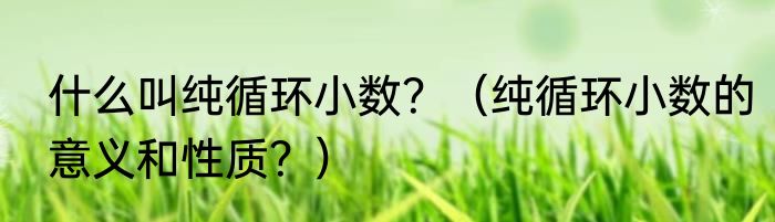 什么叫纯循环小数？（纯循环小数的意义和性质？）