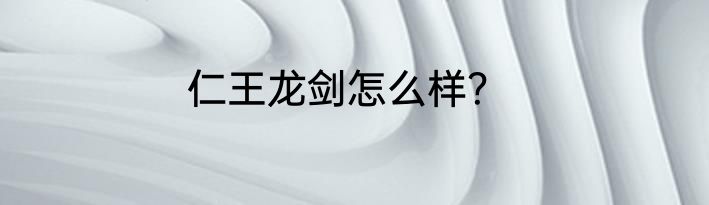 仁王龙剑怎么样？
