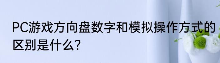 PC游戏方向盘数字和模拟操作方式的区别是什么？