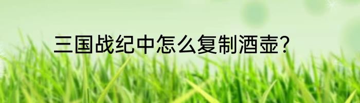 三国战纪中怎么复制酒壶？