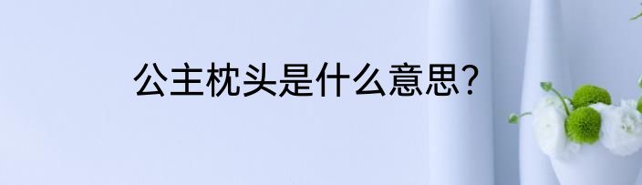 公主枕头是什么意思？