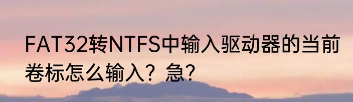 FAT32转NTFS中输入驱动器的当前卷标怎么输入？急？