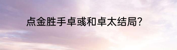 点金胜手卓彧和卓太结局？