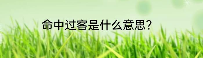 命中过客是什么意思？