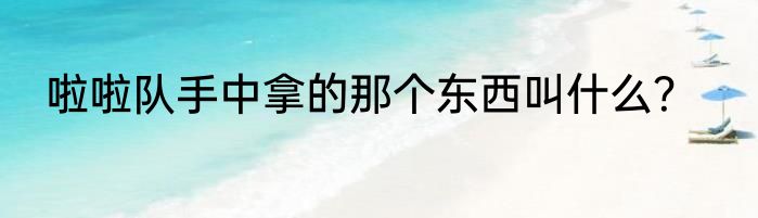 啦啦队手中拿的那个东西叫什么？