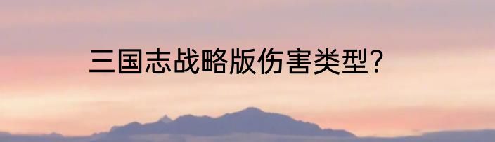 三国志战略版伤害类型？