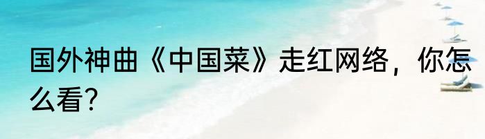 国外神曲《中国菜》走红网络，你怎么看？