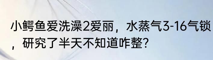 小鳄鱼爱洗澡2爱丽，水蒸气3-16气锁，研究了半天不知道咋整？