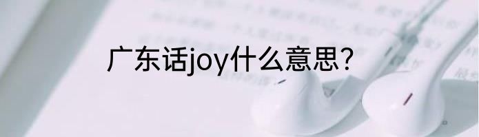 广东话joy什么意思？