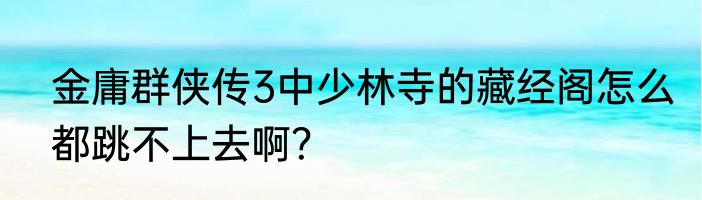 金庸群侠传3中少林寺的藏经阁怎么都跳不上去啊？