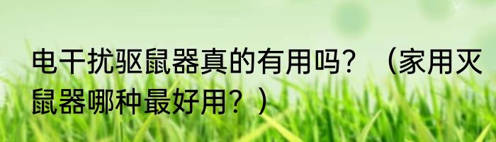 电干扰驱鼠器真的有用吗？（家用灭鼠器哪种最好用？）