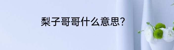 梨子哥哥什么意思？