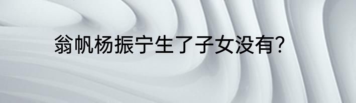 翁帆杨振宁生了子女没有？