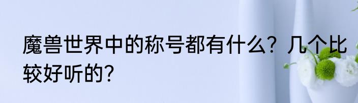 魔兽世界中的称号都有什么？几个比较好听的？