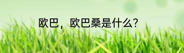 欧巴，欧巴桑是什么？