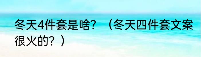 冬天4件套是啥？（冬天四件套文案很火的？）