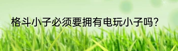 格斗小子必须要拥有电玩小子吗？
