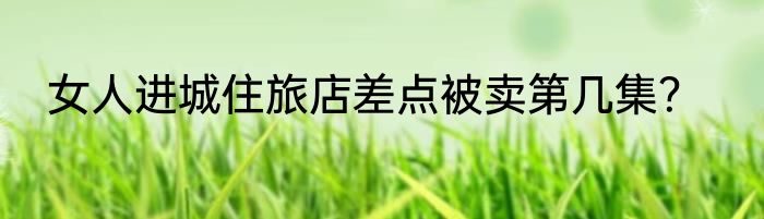 女人进城住旅店差点被卖第几集？