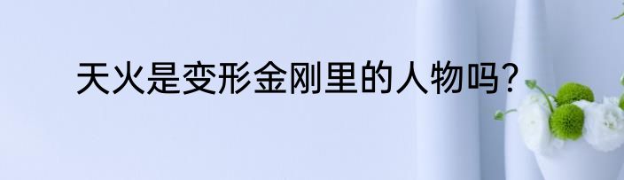 天火是变形金刚里的人物吗？