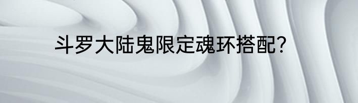 斗罗大陆鬼限定魂环搭配？
