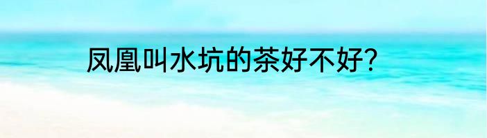 凤凰叫水坑的茶好不好？