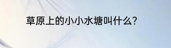 草原上的小小水塘叫什么？