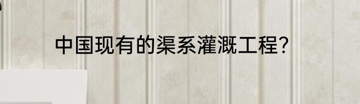 中国现有的渠系灌溉工程？