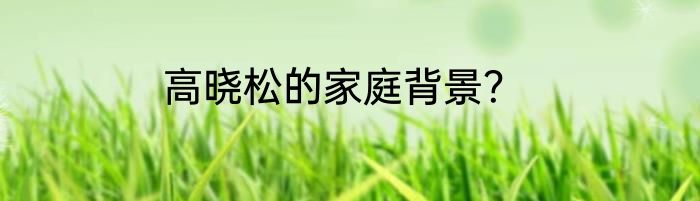 高晓松的家庭背景？