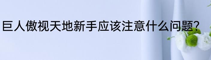巨人傲视天地新手应该注意什么问题？