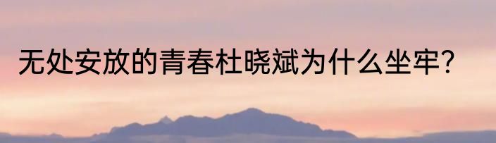 无处安放的青春杜晓斌为什么坐牢？
